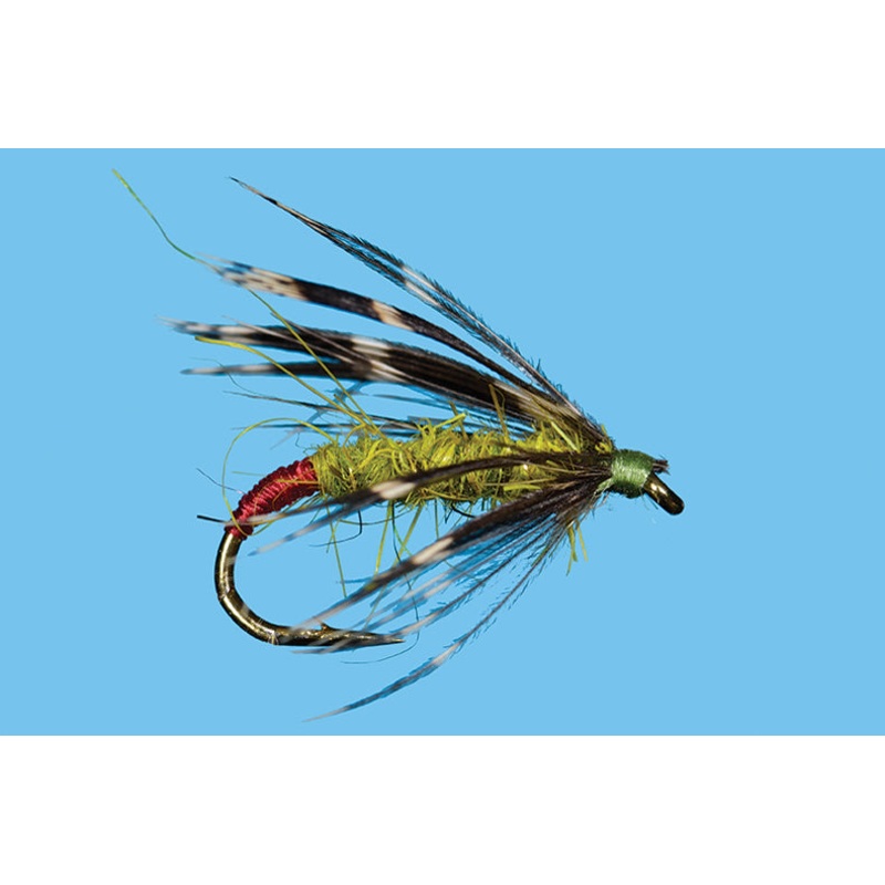 Hot Butt Soft Hackle||14||16|Olive