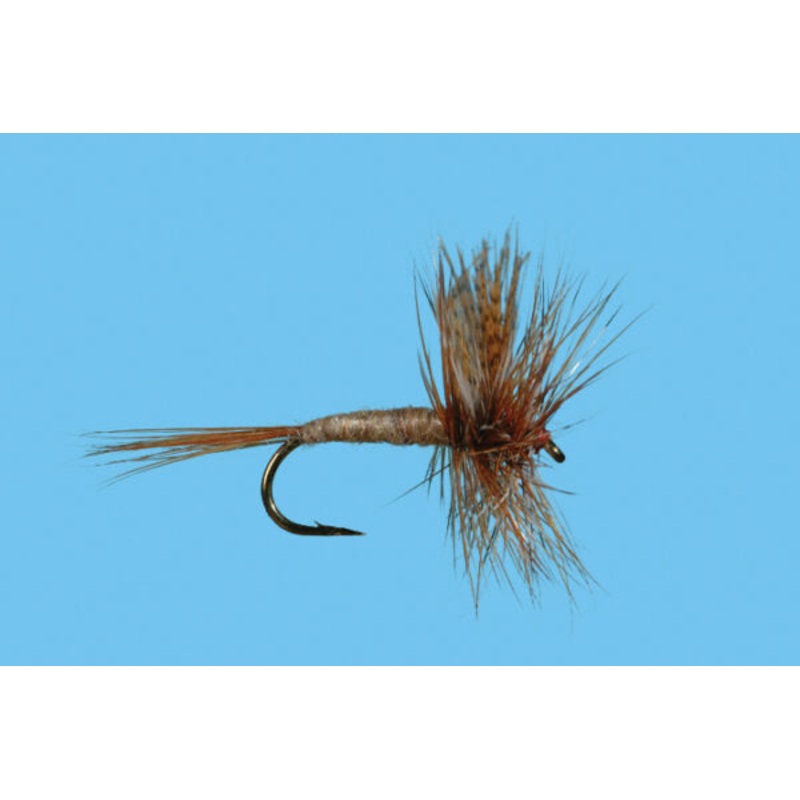 March Brown||12||14||16