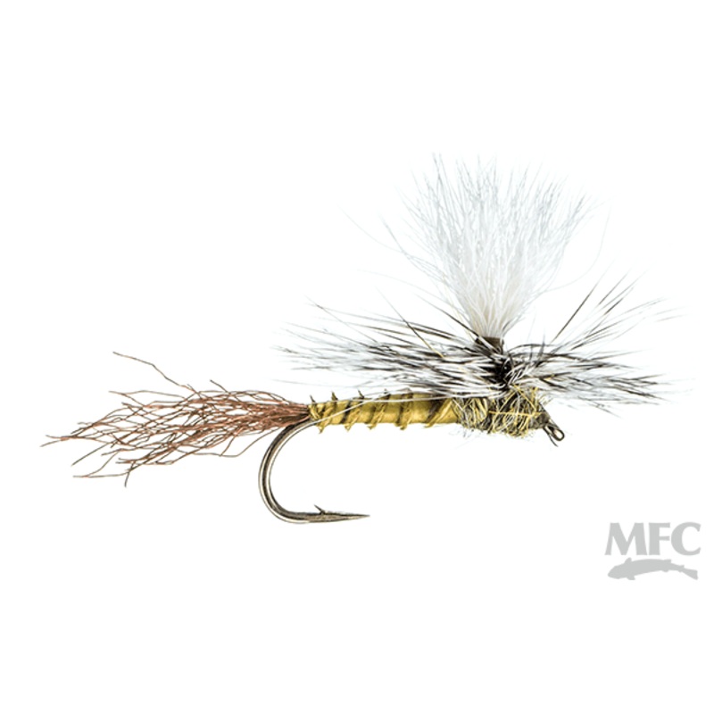 MFC Moores Para-Shuck Flav||14