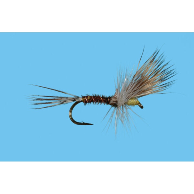 Pale Morning Dun Cripple||14||16||18