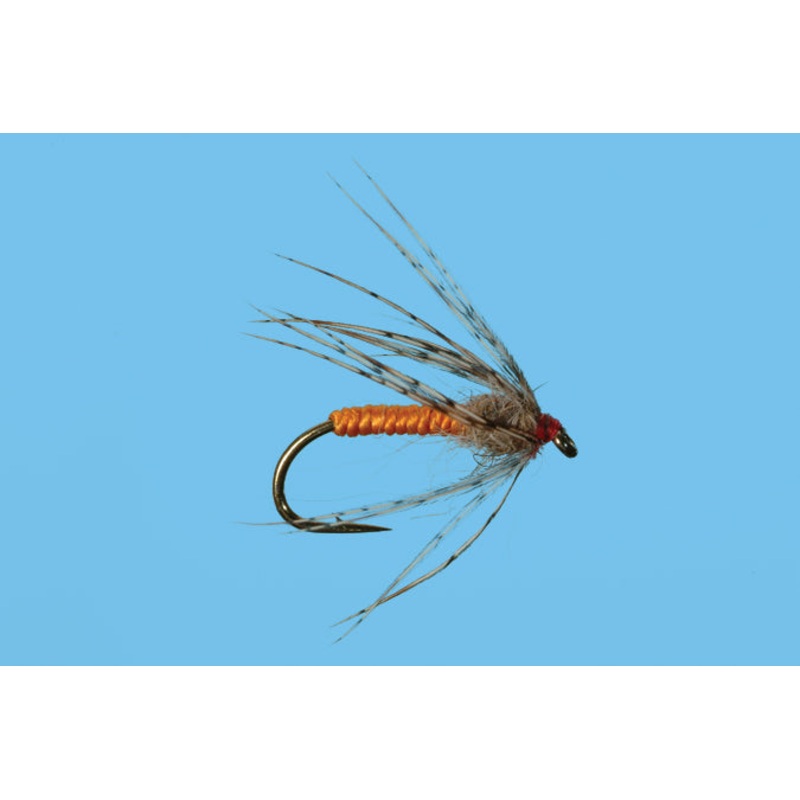 Partridge and Orange||14||16