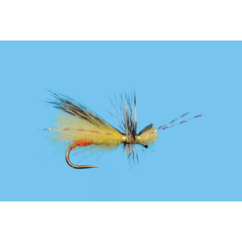 Sexy Yellow Sally||16