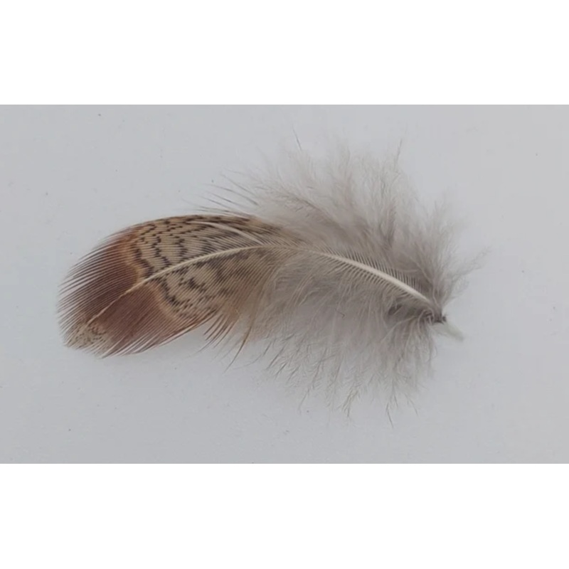 Wapsi Loose Partridge Feathers