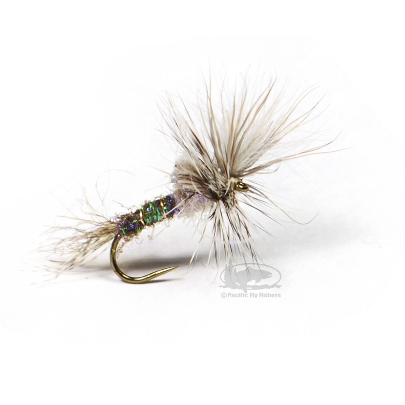 D&D Cripple – Callibaetis|14|16