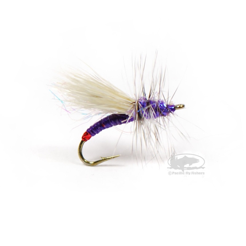 Garcia’s Mini Hot – Purple