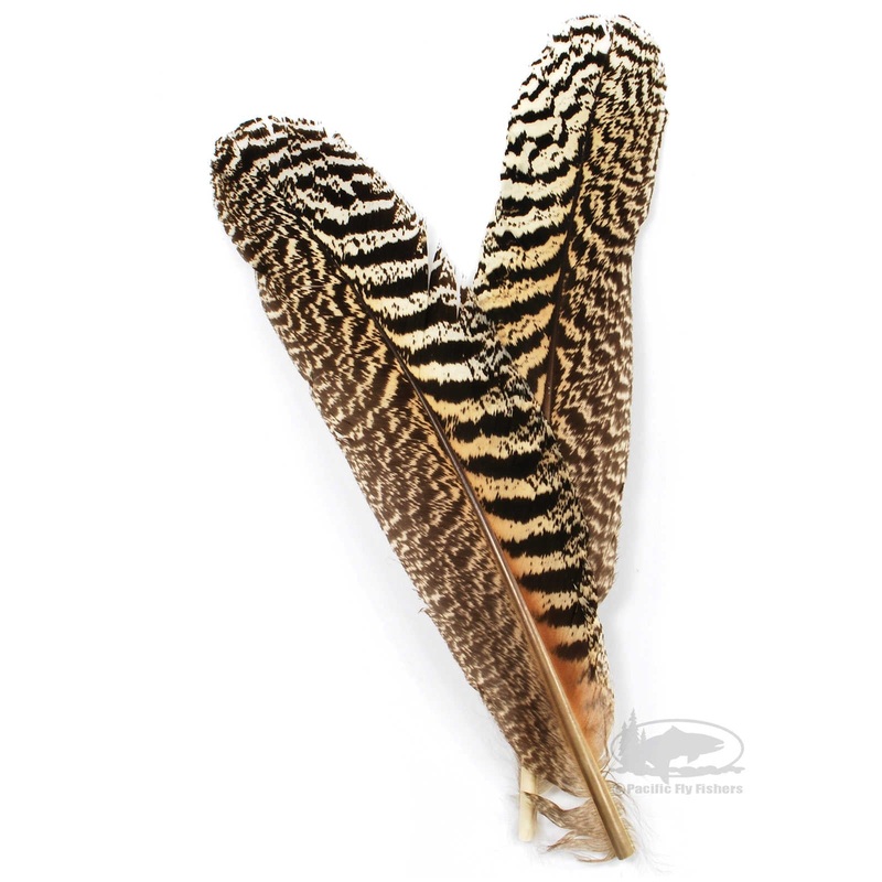 Mottled Peacock Wing Quill Pairs