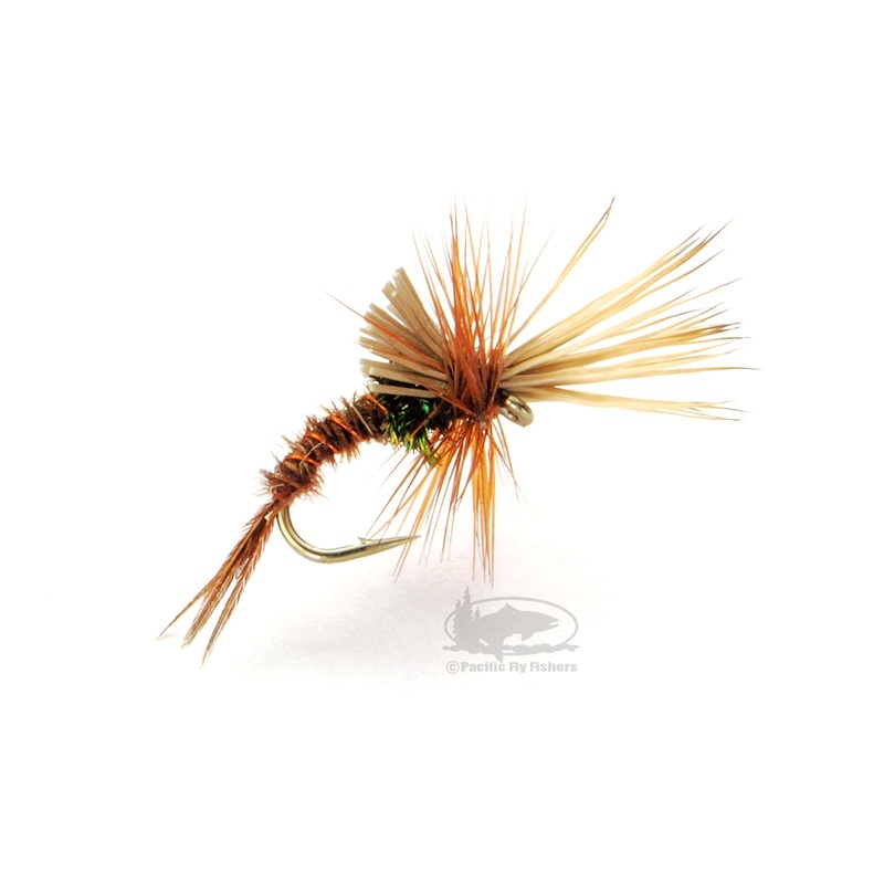Pheasant Tail Challenged|16|18