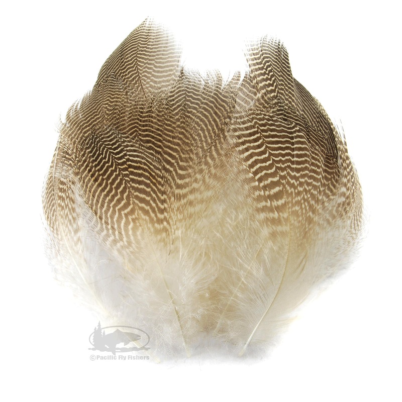 Gadwall Barred Flank Feathers
