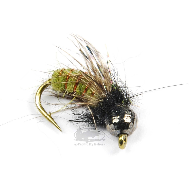 Morrish Super Pupa – Olive|16|14|12