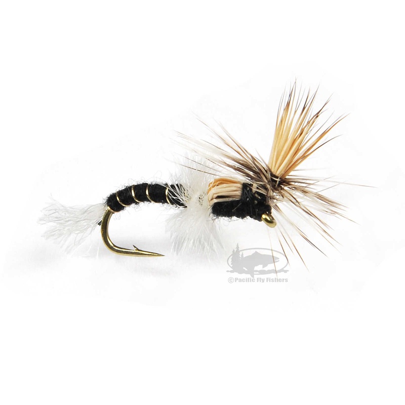 Para Midge Emerger – Black|14|16