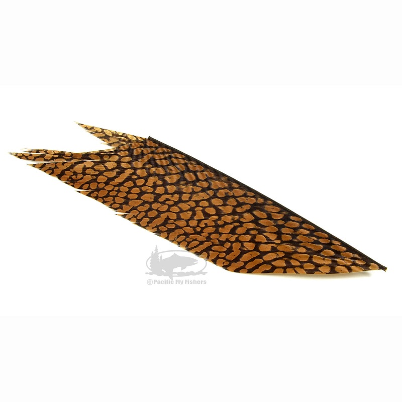 Golden Pheasant Tail Piece