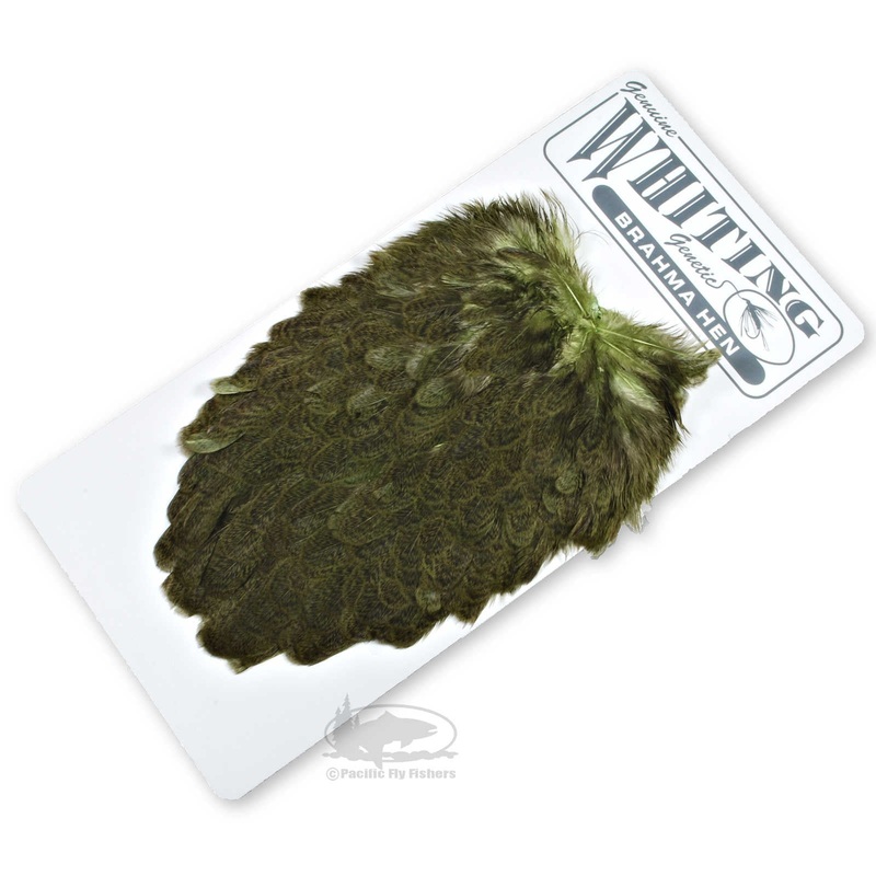 Whiting Brahma Hen Saddles – Olive