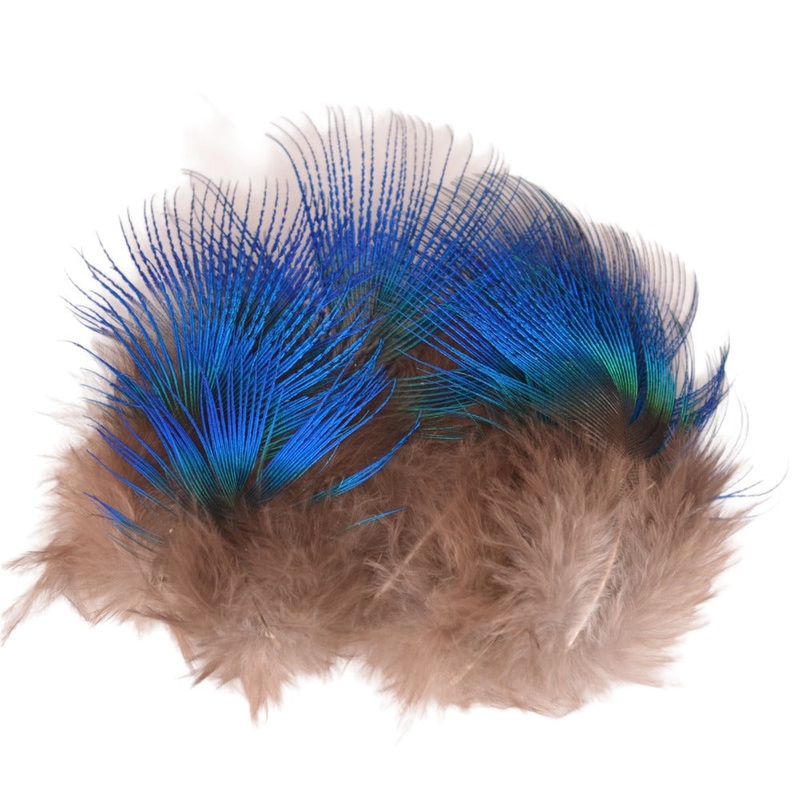 Blue Peacock Neck Feathers
