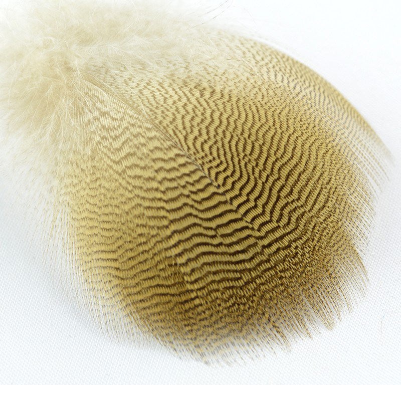 Lemon Woodduck Flank Feathers