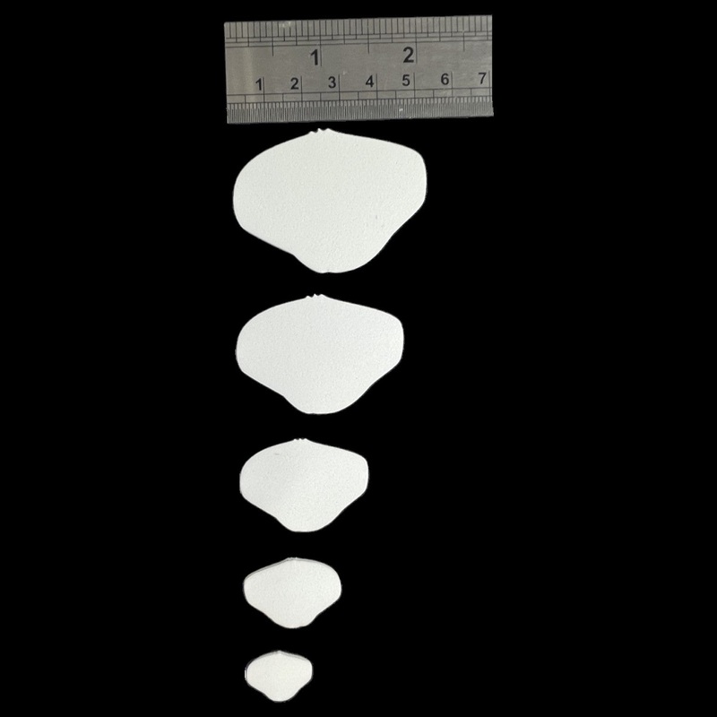 ABC Crab Shells (Pre-Order)|20mm|30mm|40mm|50mm|60mm