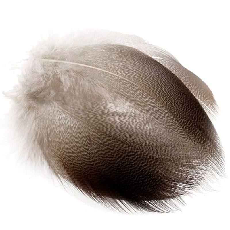 Bronze Mallard Flank