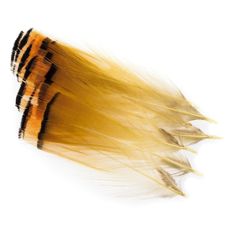 Golden Pheasant Tippets|Large|Medium|Small