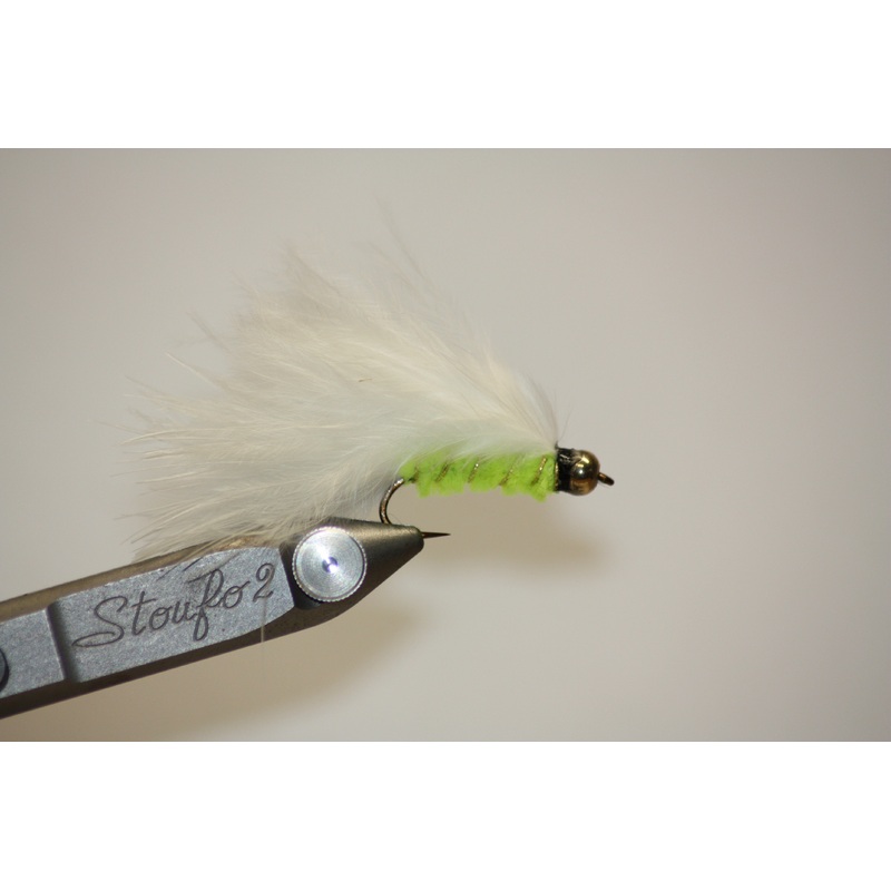 Cats Whisker|8|10|12