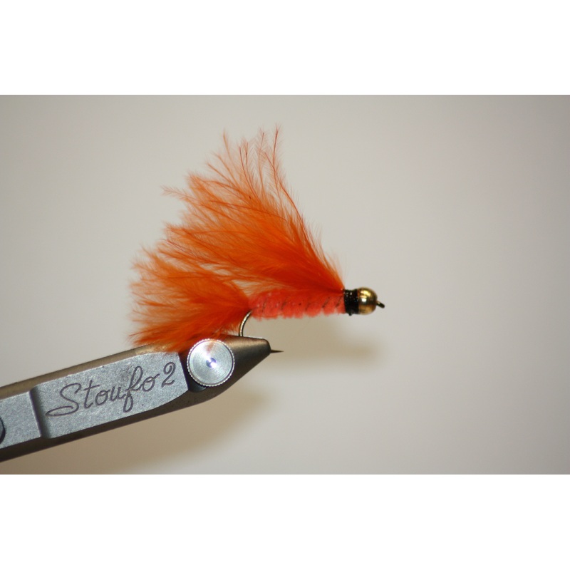 Cats Whisker Orange|8|10|12