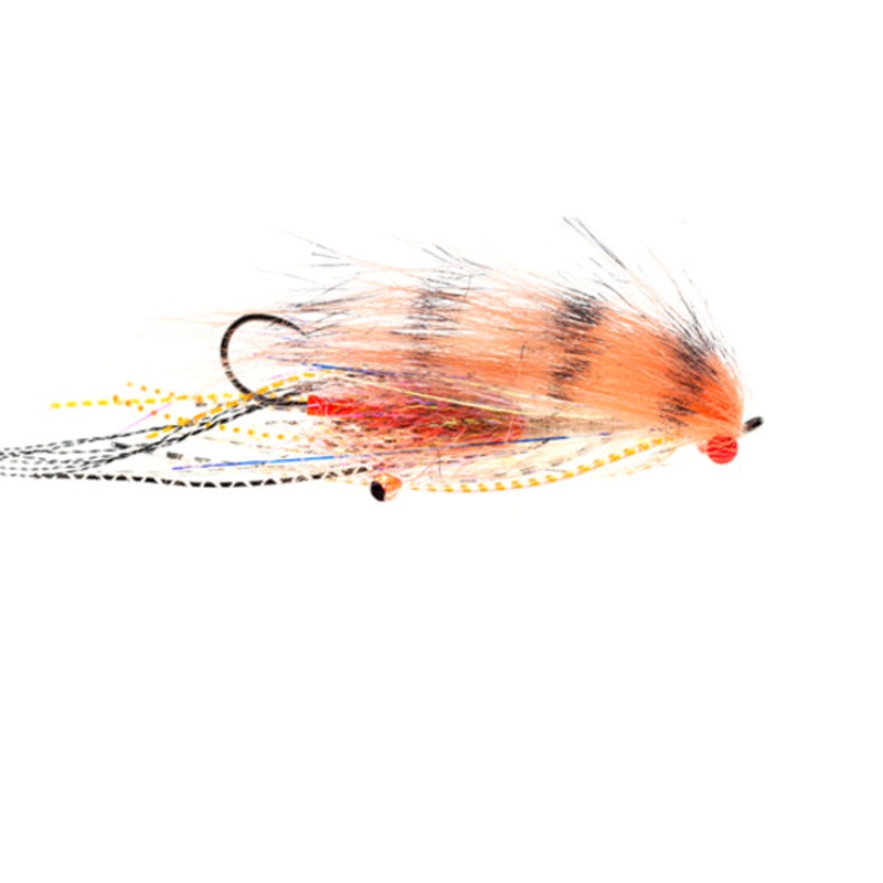 Stumptown Prawn-Orange|3 flies