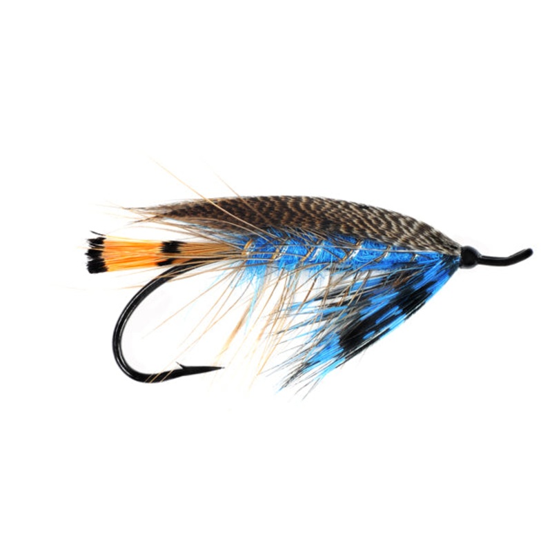 Zech’s Heisenberg Blue|1.5|3|5