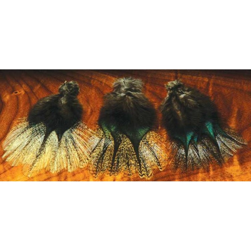 Coq De Leon|Light Dun|Black|Brown|Dun|Ginger
