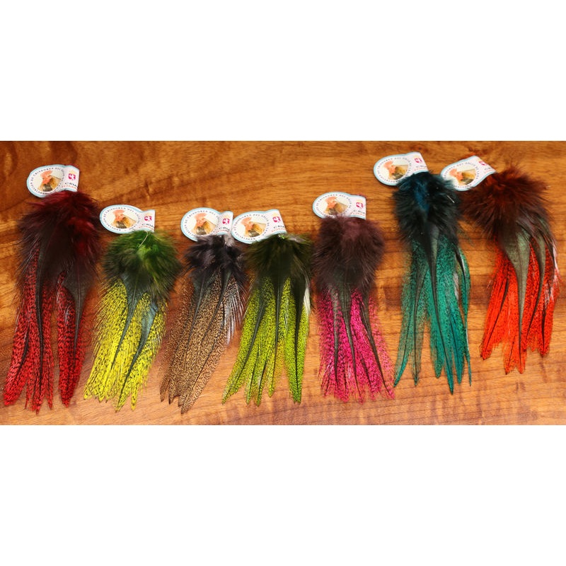 Coq De Leon Perdigon Fire Tail Feathers
