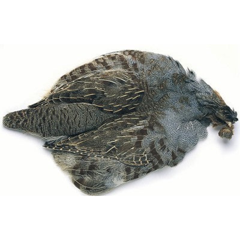English Partridge Complete Skin