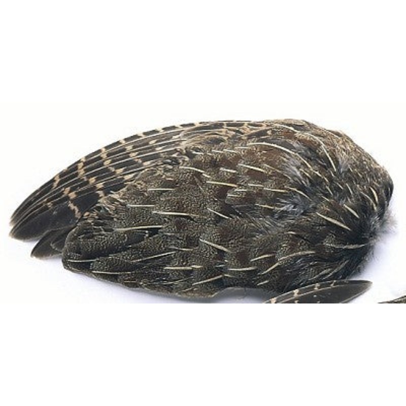 English Partridge Wings