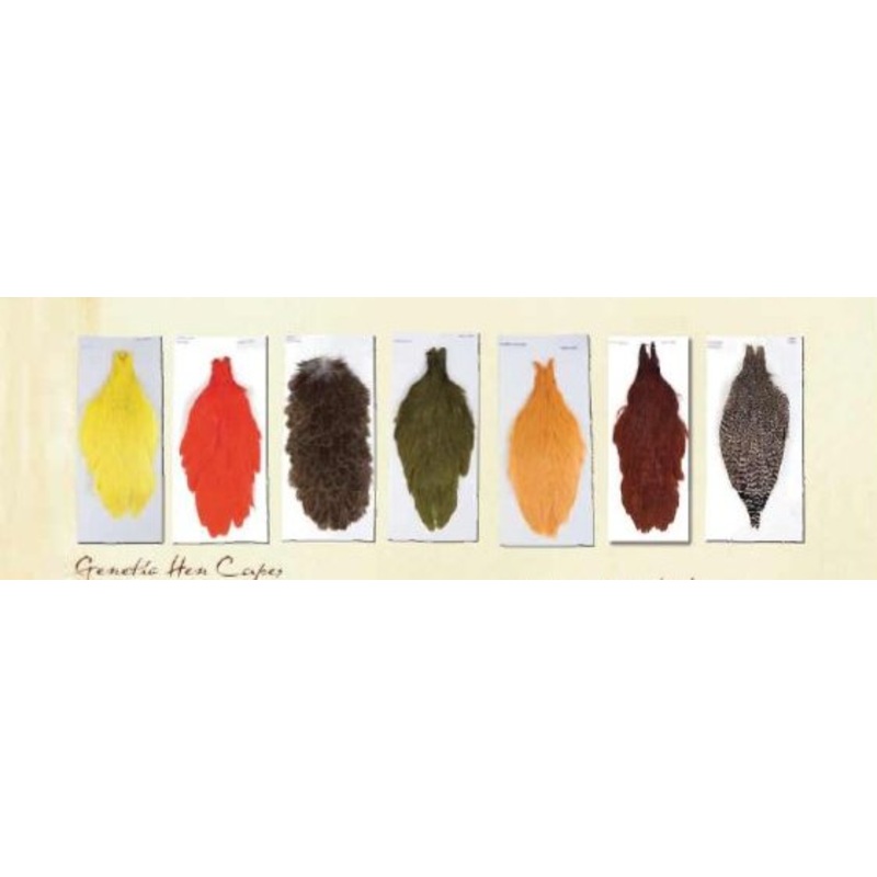 Ewing Genetic Hen Saddles Grade 1