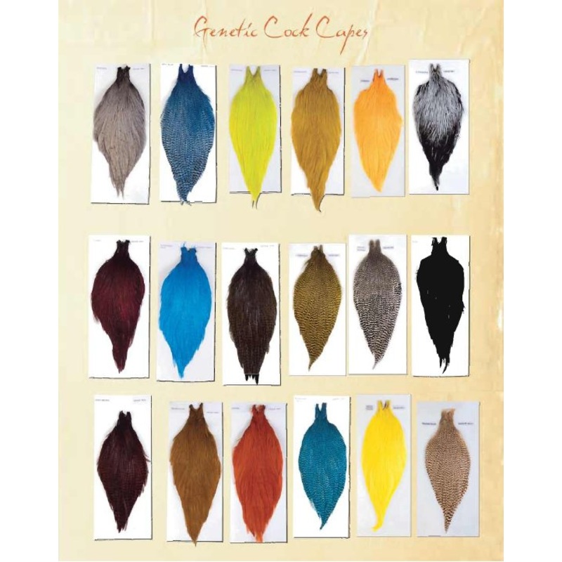 Ewing Hackle Genetic Rooster Capes Grade 1