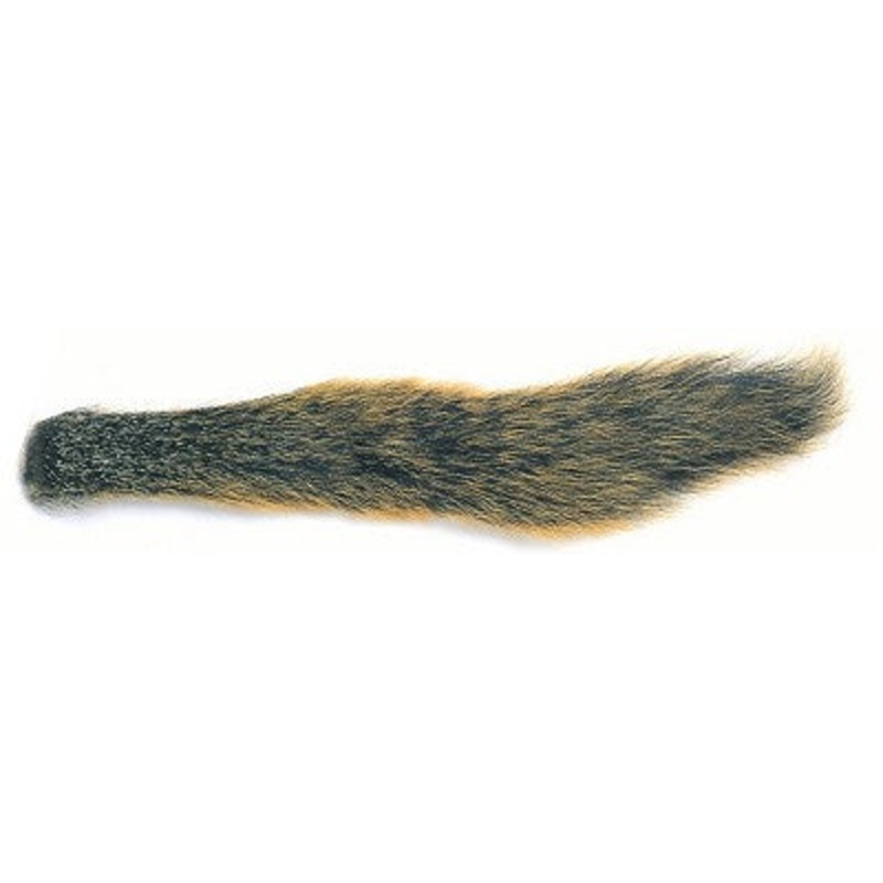Fox Squirrel Natural Barred Tail