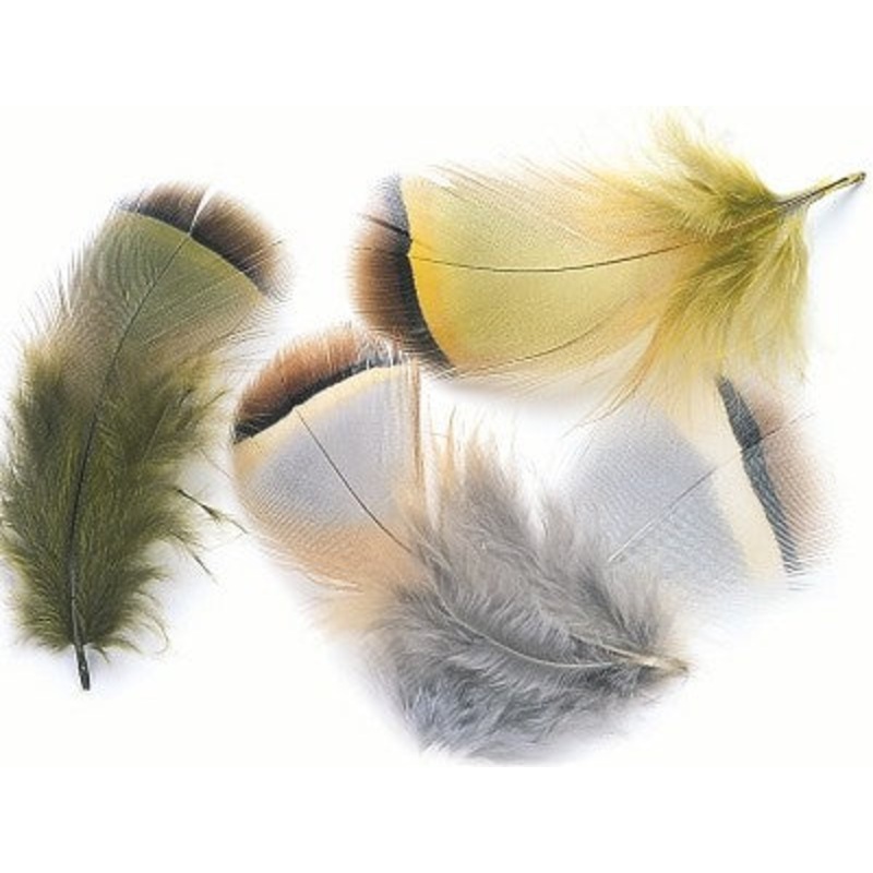 French Partridge Hackles|Olive|Yellow|Orange|Red|Natural