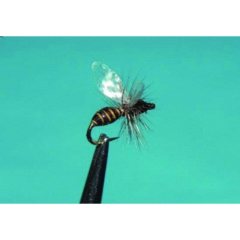 Veniards Real Ant Wings|S