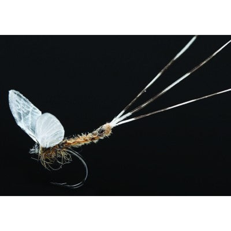 Veniards Real Dun Wings|Xs