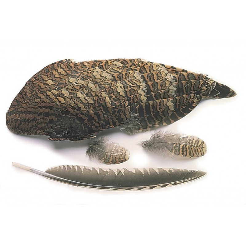 Woodcock Wings