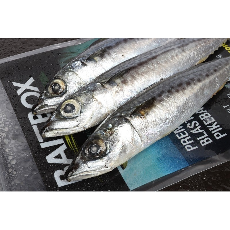 Whole Mackerel x 2/3 pk