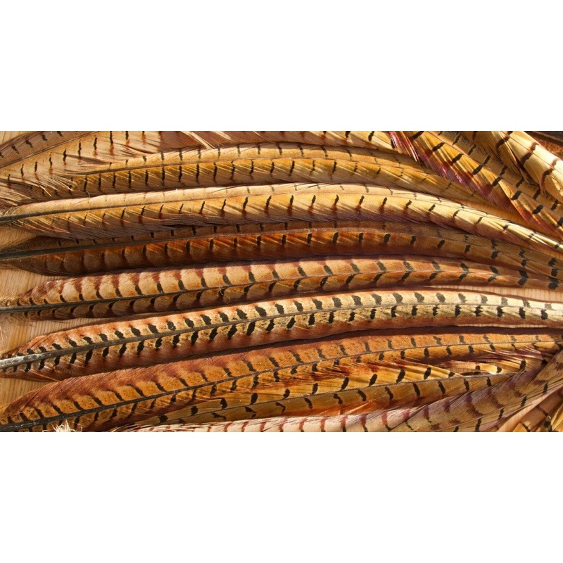 Cock Pheasant Centre Tails|Orange|Yellow|Red|Black|Claret|Green|Natural