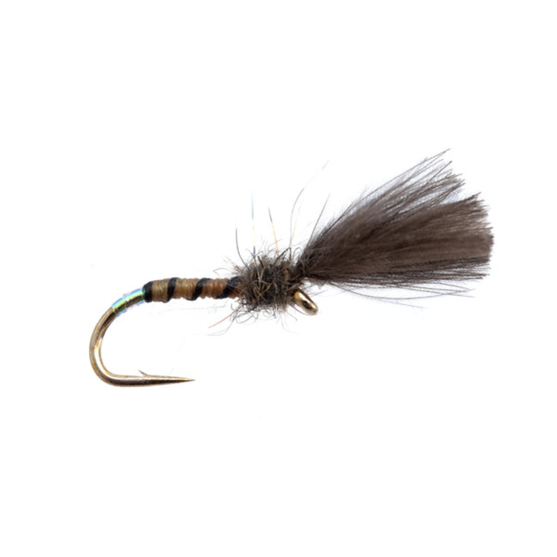 Fario Fly Pearl Butt Yellow Owl Dry Fly