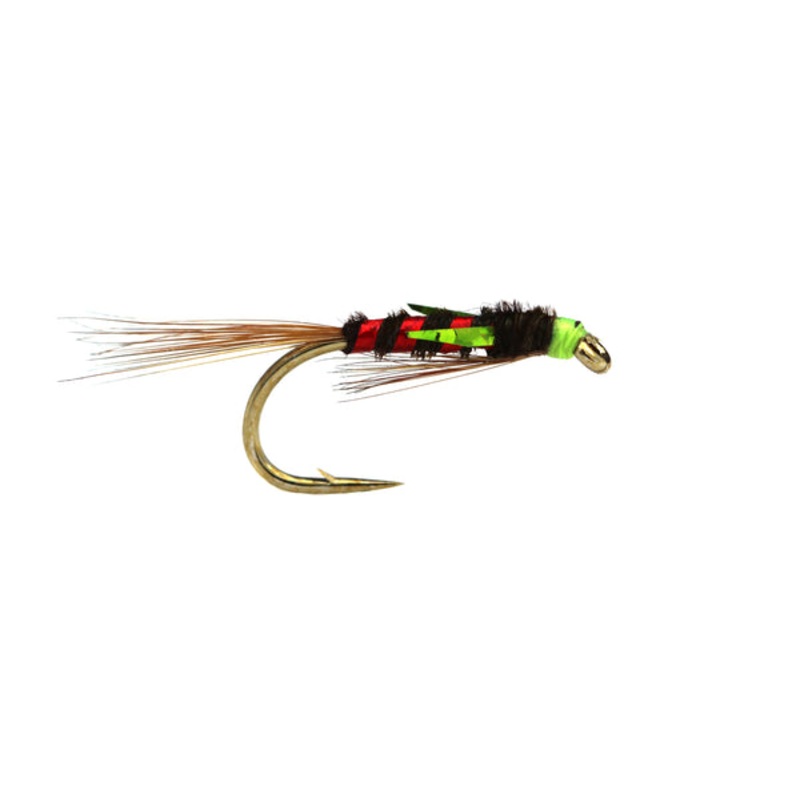 Fario Olive and Red Holo Diawl Bach