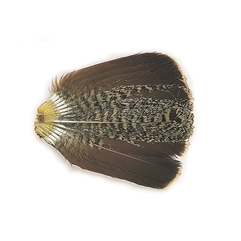 English Partridge tails