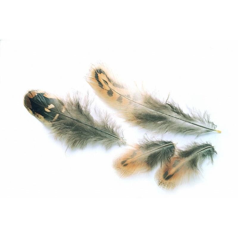 Hen Pheasant Shoulder feathers