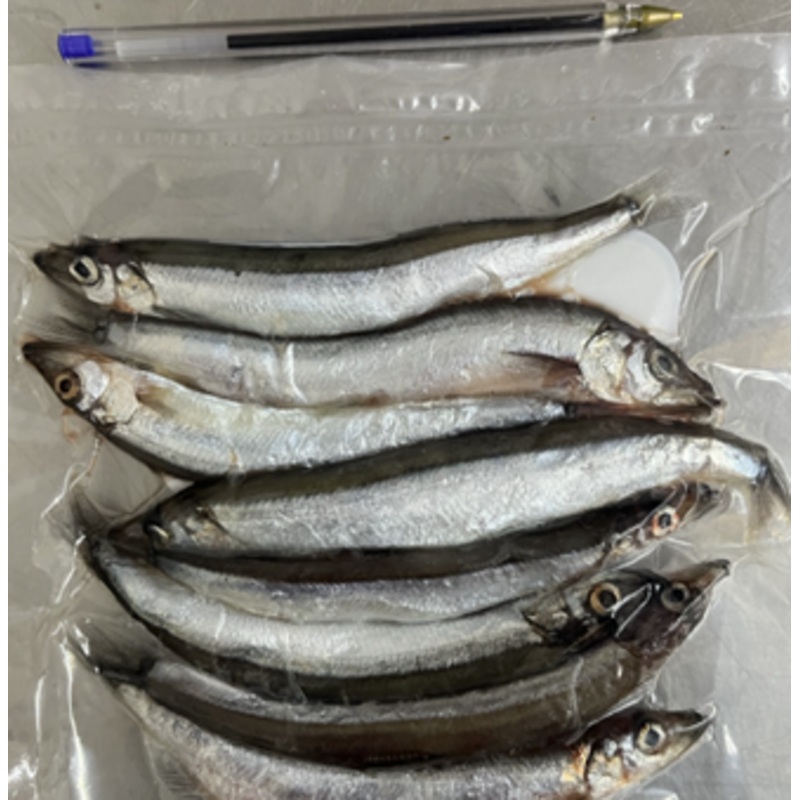 Capelin 8pk