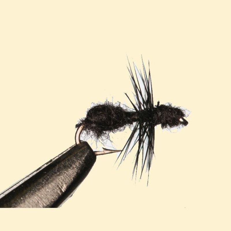 Ant – 3 pack||16||18|Black