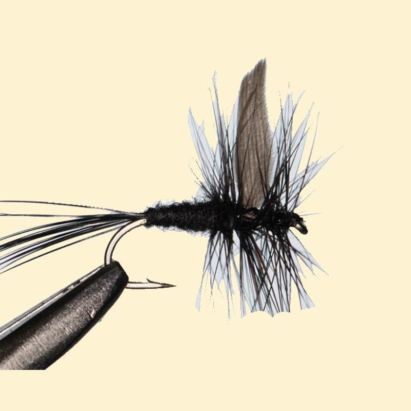 Black Gnat – 3 pack||14||16|Black