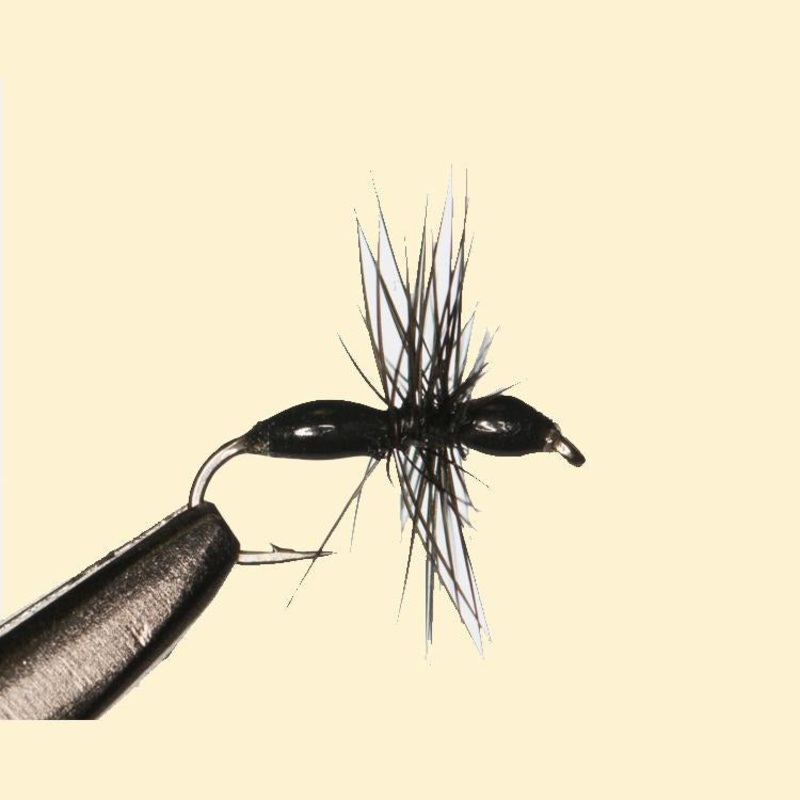 Epoxy Ant – 3 pack||16||18|Black