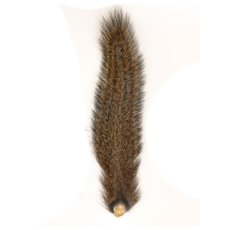 Grey Squirrel Tail