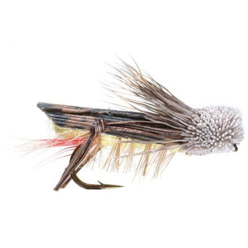 DAVE’S HOPPER|8|10|12|14