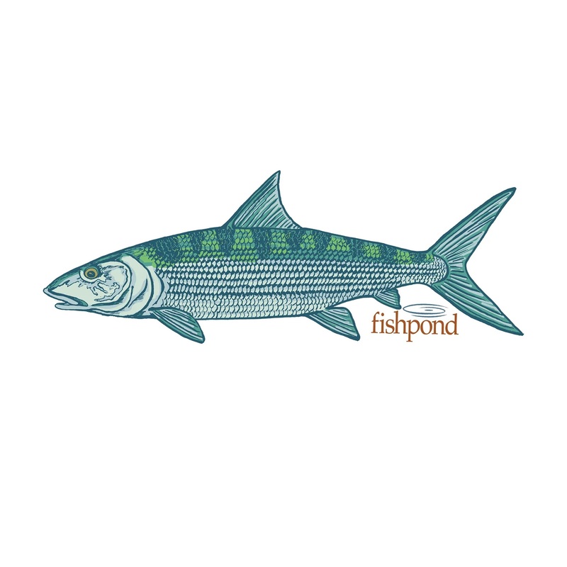 Fishpond Phantom Sticker – 6