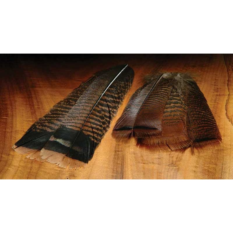 Hareline Cinnamon Tip Turkey Tail Feathers